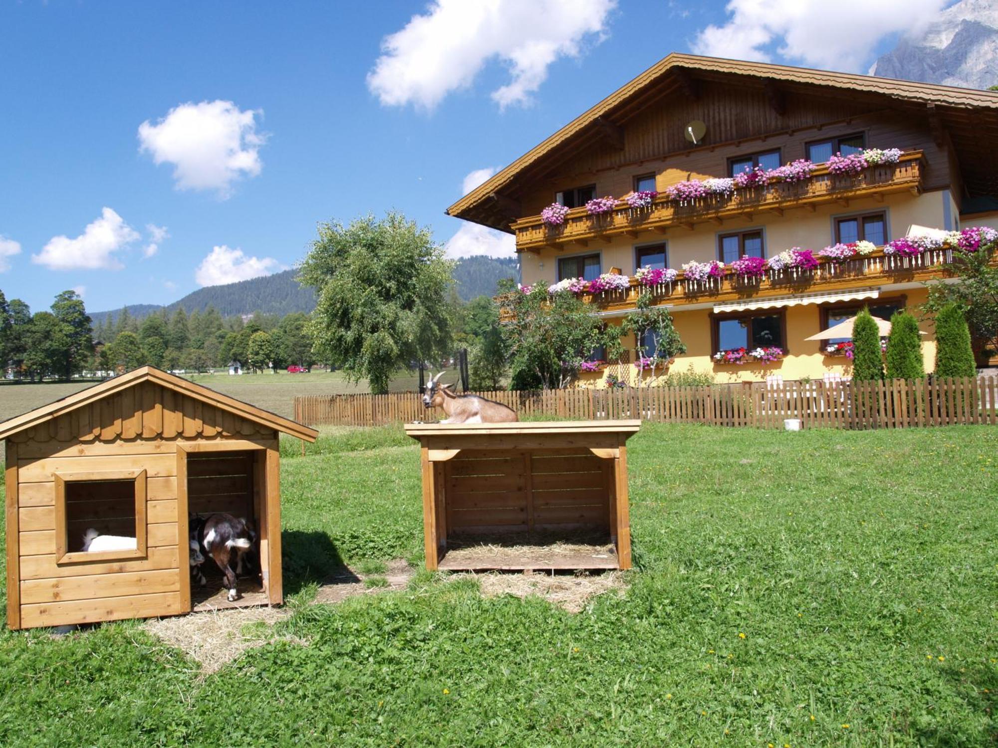 Ferienwohnung Alpenecho Ramsau am Dachstein Ngoại thất bức ảnh